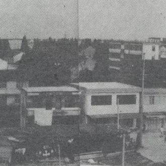 (沉木 作品)古老沉木的独特韵味:创意无限的沉木作品展示 (沉木 作品)古老沉木的独特韵味:创意无限的沉木作品展示