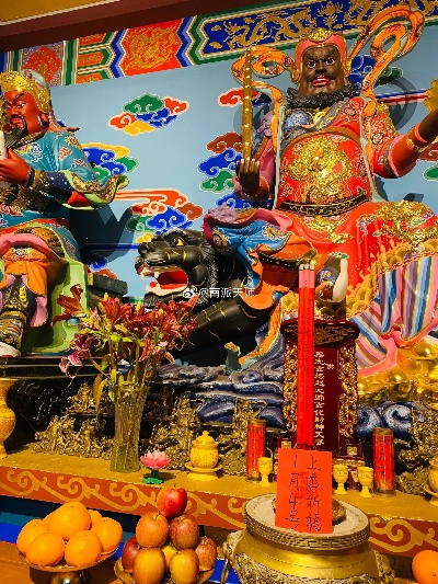 (祖师爷驾到全体起立)祖师爷归来，降魔除厄，风起云涌，众生皆惊。