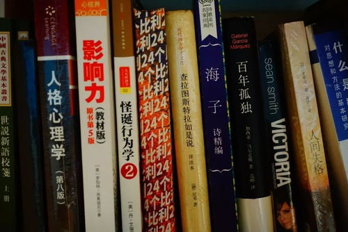 武林秘笈还是武林秘籍：揭秘古代武林秘诀传承方式及其对当代武术文化影响的深入研究