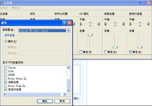 为什么Twirdora无法播放音频文件？解决方法在哪里？