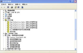 为什么Twirdora无法播放音频文件？解决方法在哪里？
