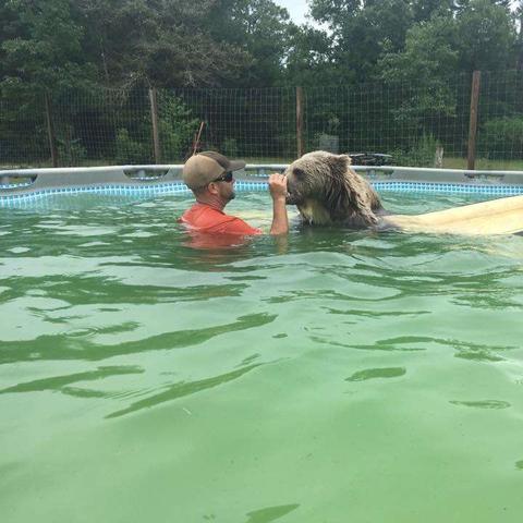 调皮小动物游戏大冒险:挑战你的智商和耐心,快来与可爱的小动物一起玩耍! 调皮小动物游戏大冒险:挑战你的智商和耐心,快来与可爱的小动物一起玩耍!