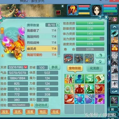 (神武六技能幽灵虎)神武幽灵虎6技能打书攻略大揭秘，绝对不容错过