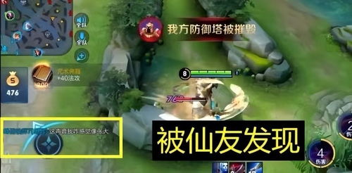 网络热议非仙勿扰停服现象：游戏真实情况与玩家期待碰撞引发热议