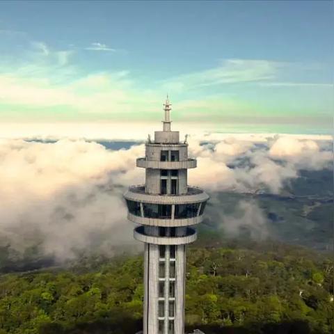 (与你一同踏入危险,挑战极限的丛林大冒险在线观看)与你一同踏入危险，挑战极限的丛林大冒险