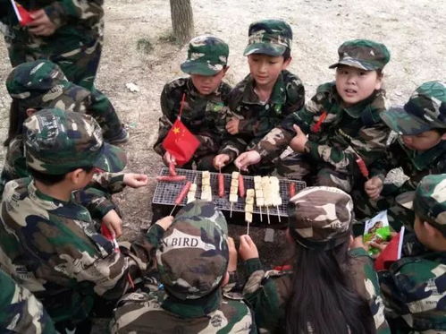 (荒岛野外生存的电影,电视剧)在荒岛上挑战自然: 野外生存荒岛求生游戏