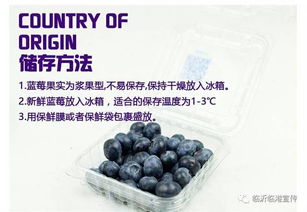 (王蓝莓的幸福生活不失礼貌的化解尴尬)王蓝莓的搞笑日常：每一天都是笑料百出、让人捧腹的生活点滴