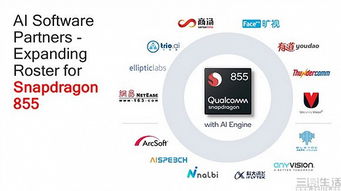 (英伟达官方合作伙伴)英伟达与谷歌合作探索量子AI技术领域的新机遇