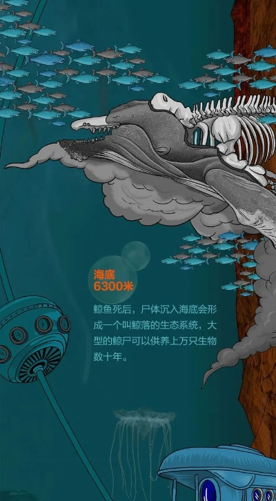 (鲲艮的奇怪任务)探索鲲的奇幻世界：一场沉浸式游戏体验的冒险之旅