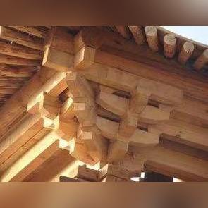 狩猎是人类的本能，狩猎是人类的本性，狩猎是人类的本领，狩猎是展现人类勇气和智慧的一种方式。