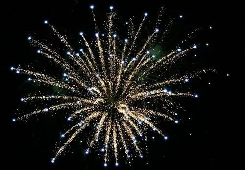 (看鲤鱼解说烟花模拟器用英语怎么说)烟花模拟器鲤鱼同款，华丽绚烂的夜空之舞