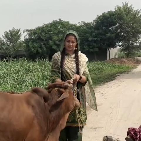 深度解析:艾丽莎的任务攻略及其对于新手玩家的指导价值和实战应用