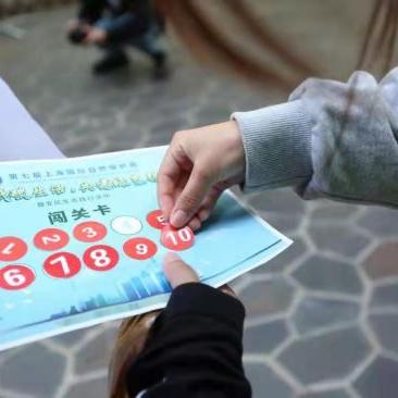 (猫之城图鉴)探索猫之城:角色的多样性与故事线的复杂交织