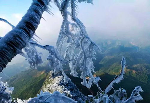 探秘无上仙庭:神秘的仙境之旅,揭开永恒守护者的传奇神秘面纱