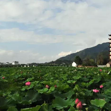 (剑舞江南手游下载)剑舞江湖游戏:探索武侠世界的奇幻旅程与战斗策略的完美结合 (剑舞江南手游下载)剑舞江湖游戏:探索武侠世界的奇幻旅程与战斗策略的完美结合