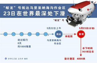 (下潜勒颈动作步骤)深入探索下潜勒颈示范作业教案的教学实践与策略 (下潜勒颈动作步骤)深入探索下潜勒颈示范作业教案的教学实践与策略